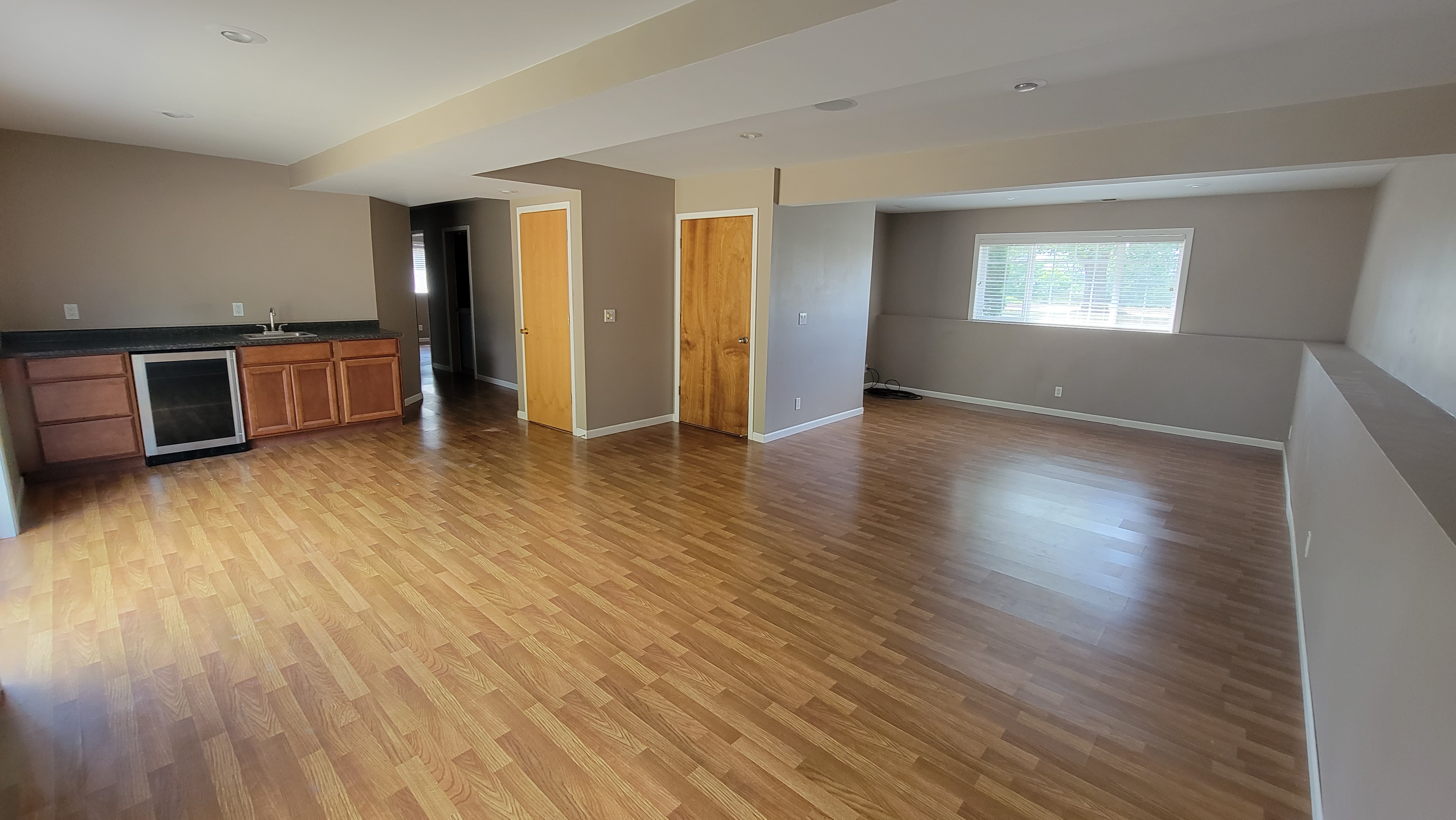 Basement bar and kitchenette