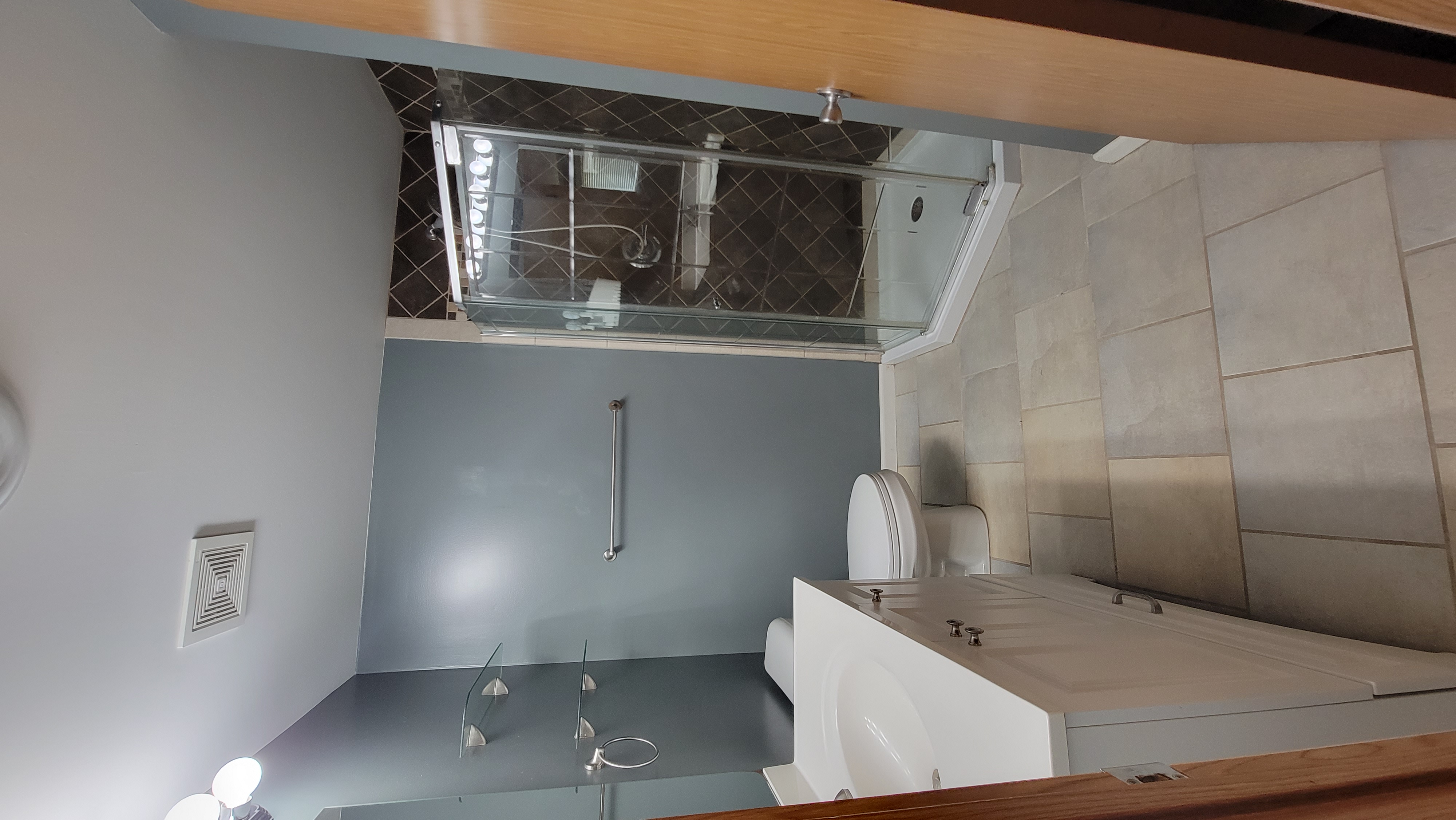 Lower level bathroom