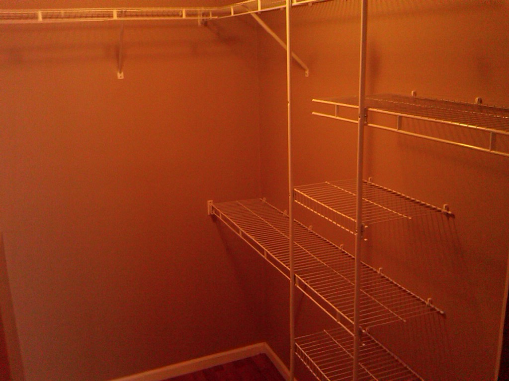 Lower level closet